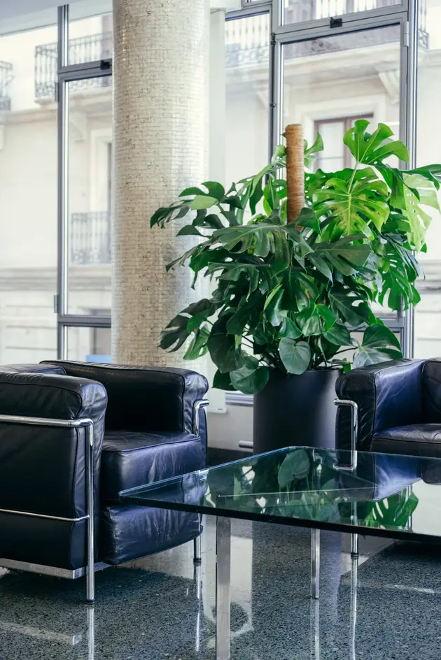 自然采光充足的专属会议空间